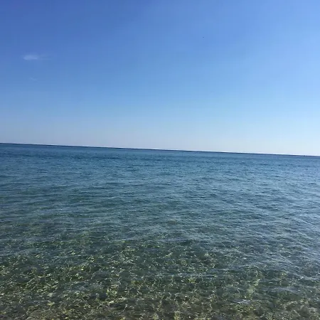 Zornica In 3* 오브조르