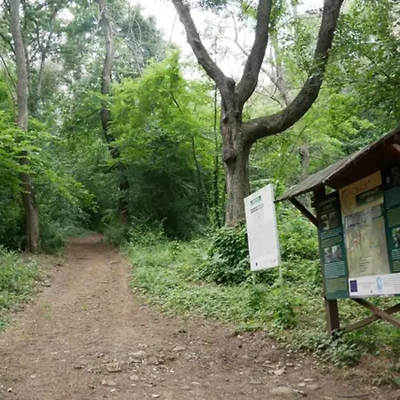 Zornica In 게스트하우스